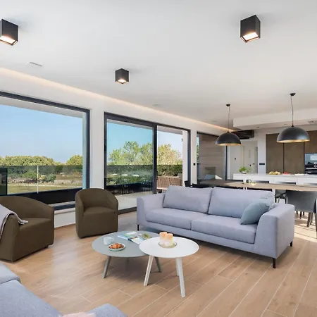 Old Olive Iii Villa Vodnjan