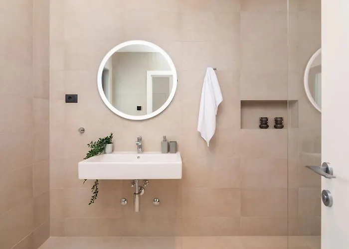 Old Olive Iii Vodnjan