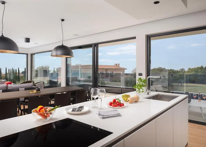 Old Olive Iii Villa Vodnjan