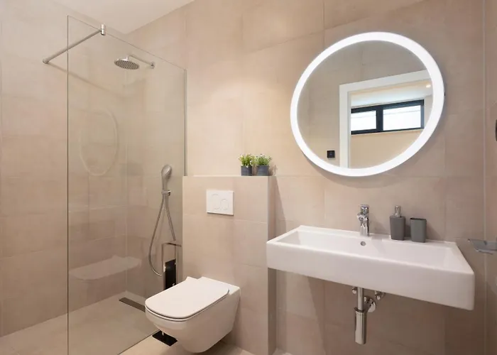 Old Olive Iii Vodnjan