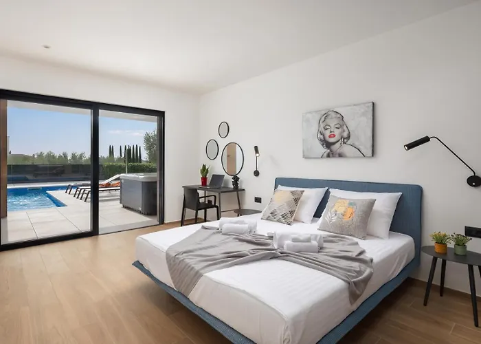 Villa Old Olive Iii Vodnjan